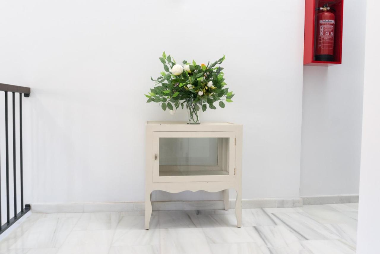 Santiago Premium Loft Iii Malaga
